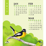 Beautiful Wings - 1107