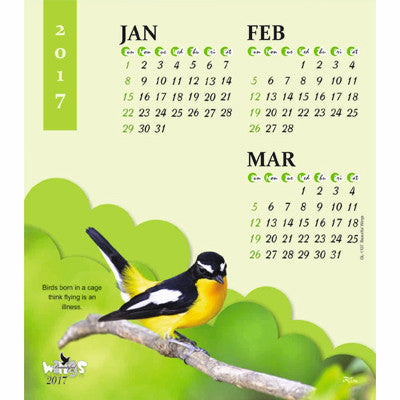 Beautiful Wings - 1107