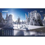 Beautiful Nature - 317