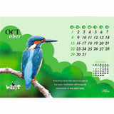 Beautiful Wings - 211