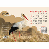 Beautiful Wings - 211