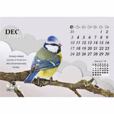 Beautiful Wings - 211