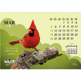 Beautiful Wings - 211