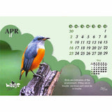 Beautiful Wings - 211