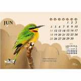 Beautiful Wings - 211