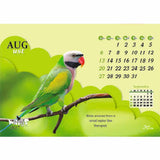 Beautiful Wings - 211