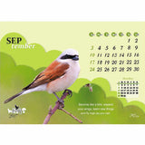 Beautiful Wings - 211