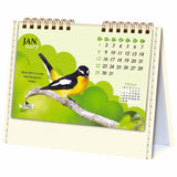 Beautiful Wings - 211