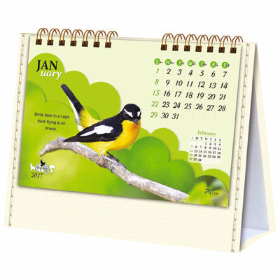 Beautiful Wings - 211